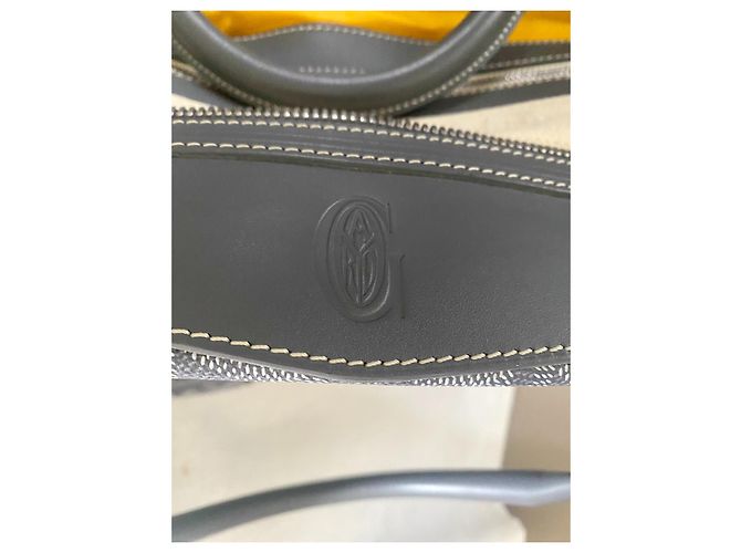 Goyard Boeing - vista 7
