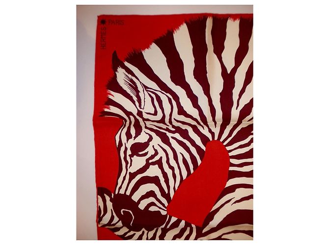 Hermès ZEBRA PEGASUS Multicor - vista 2