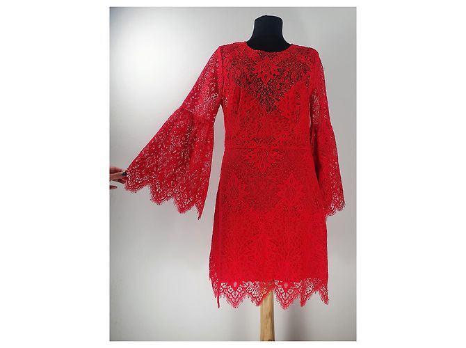 Bcbg Max Azria Spitzenkleid in Rot - Ansicht 2