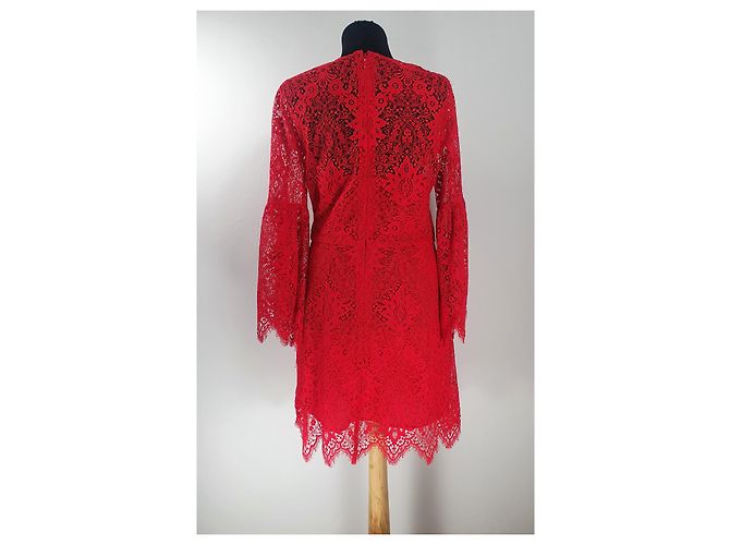 Bcbg Max Azria Spitzenkleid in Rot - Ansicht 4
