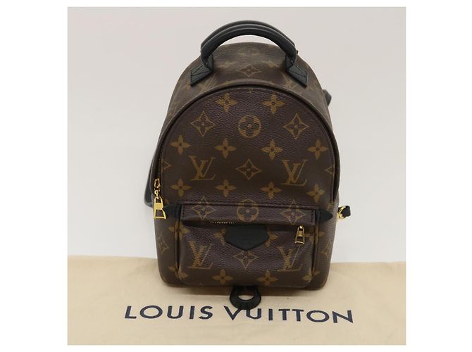 LOUIS VUITTON Mini borsa a tracolla Palm Springs con monogramma M44873 LV Auth jk1728 - vista 12
