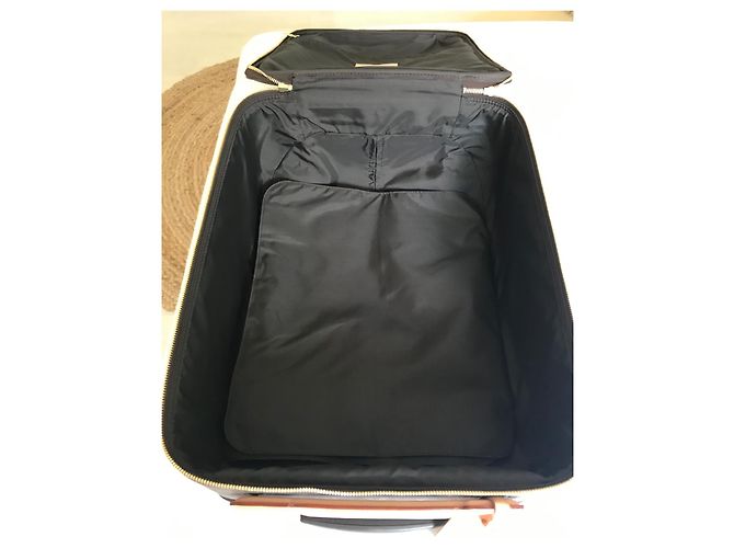 Valigia Louis Vuitton Pegasus Monogramma Marrone - vista 11
