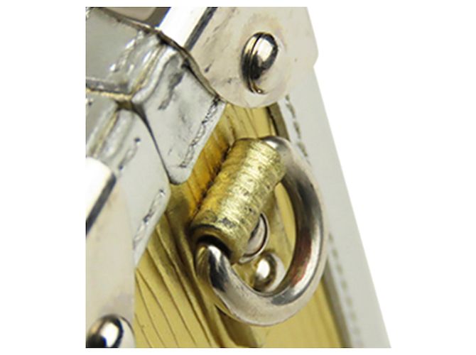 Louis Vuitton Silver Epi Petite Malle Argento D'oro - vista 12