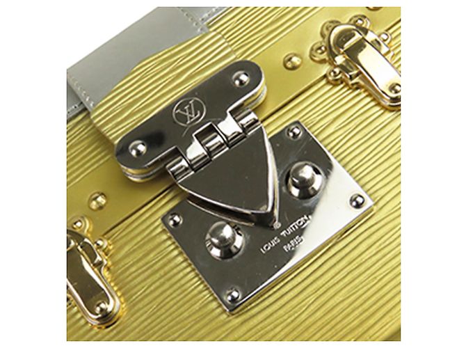 Louis Vuitton Silver Epi Petite Malle Argento D'oro - vista 6