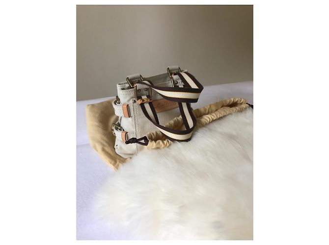 Borsa piccola Louis Vuitton in tela Beige Blu chiaro - vista 13