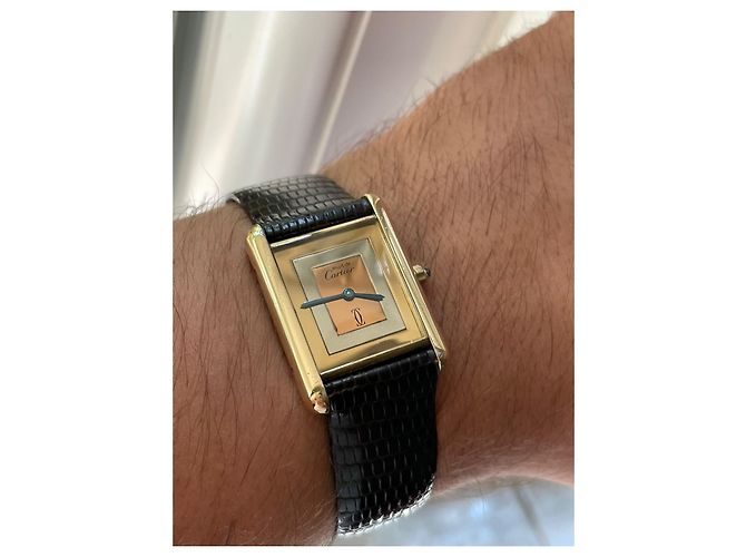Cartier Tank Must Uhr Silber Mehrfarben - Ansicht 8