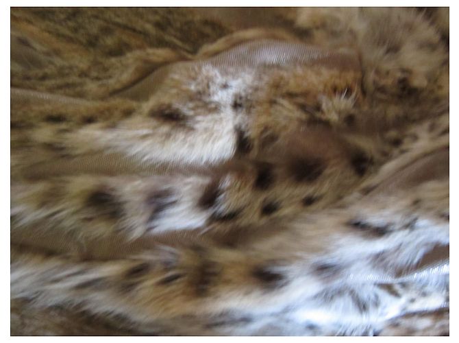 Autre Marque Lujoso abrigo de piel de lince Multicolor - vista 7
