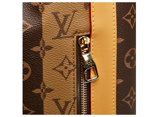 Monogramma Louis Vuitton marrone Nigo Randonnee - vista 7
