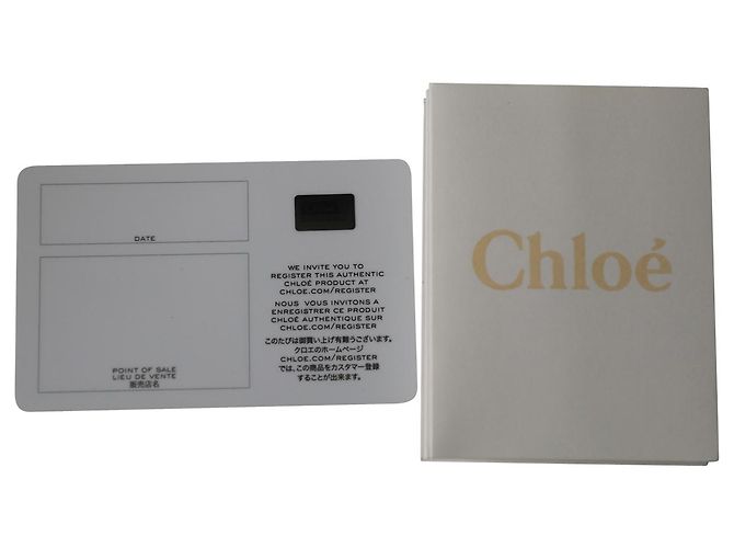 Chloé Borsa Chloe Hudson in pelle scamosciata marrone - vista 9