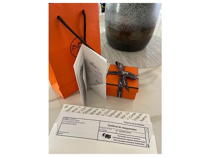 Pulsera Hermès Collier de Chien Amarilla Cocodrilo Amarillo - vista 3