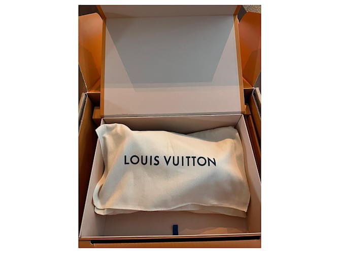 Louis Vuitton Doudou pm Marrom - vista 10