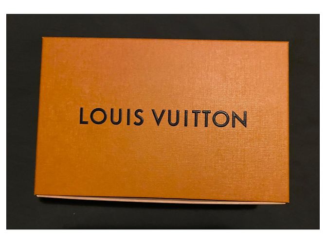 Speedy Louis Vuitton Mini custodia per accessori London Marrone scuro - vista 5