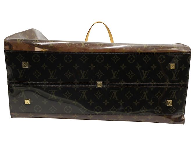 Borsa tote Louis Vuitton Ambre Cruise in PVC marrone - vista 10