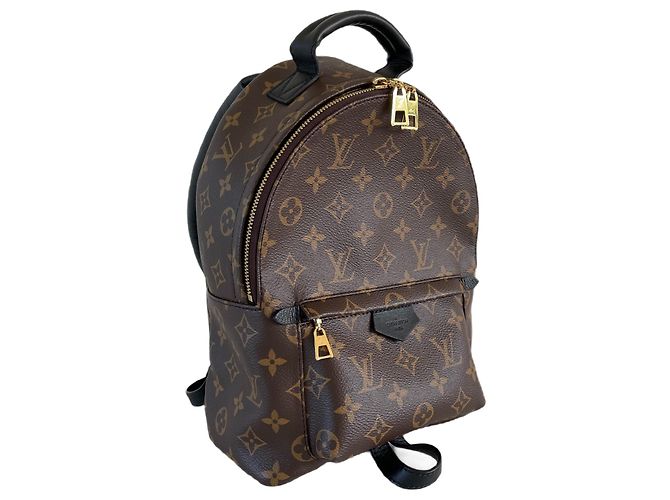 Louis Vuitton Palm Springs Rucksack PM-Monogramm Braun - Ansicht 2