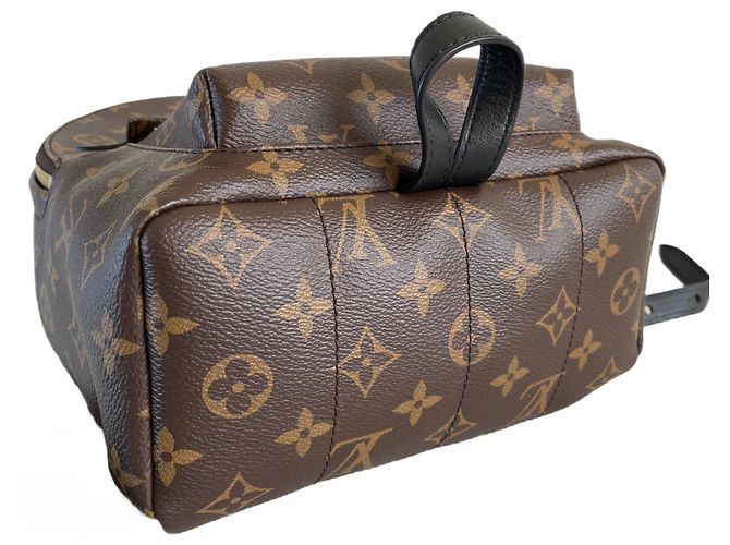 Louis Vuitton Palm Springs Rucksack PM-Monogramm Braun - Ansicht 3