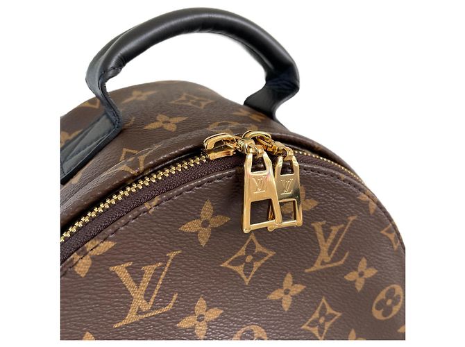 Louis Vuitton Palm Springs Rucksack PM-Monogramm Braun - Ansicht 4