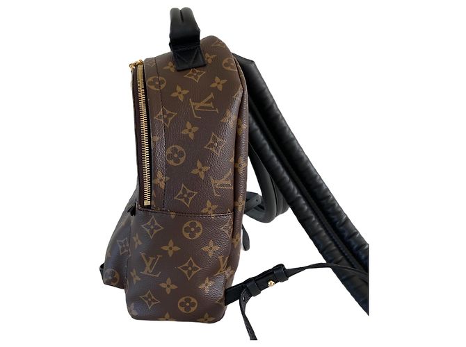 Louis Vuitton Palm Springs Rucksack PM-Monogramm Braun - Ansicht 6