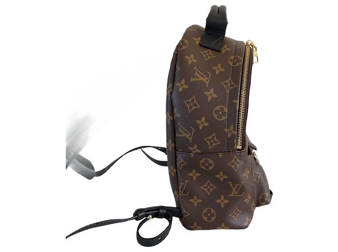 Louis Vuitton Palm Springs Rucksack PM-Monogramm Braun - Ansicht 7