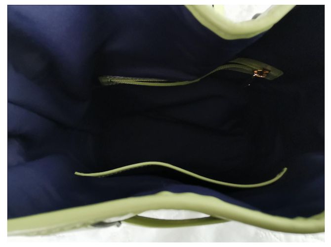 Elsa Sellier Bolsa saco Lancel Elsa PM em couro verde com estampa de crocodilo Verde claro Gold hardware - vista 5