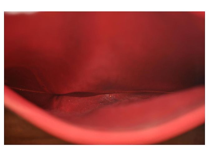 LOEWE Borsa a mano in pelle 2Modo Red Auth am2234S Rosso - vista 11