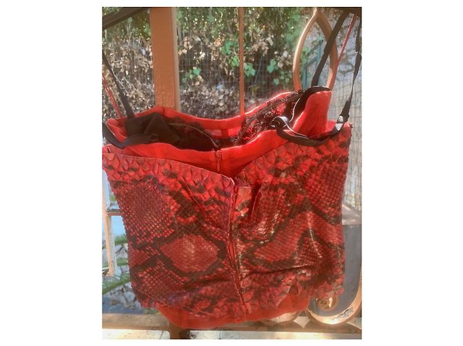 Bustiê de python vermelho Dolce & Gabbana - vista 5