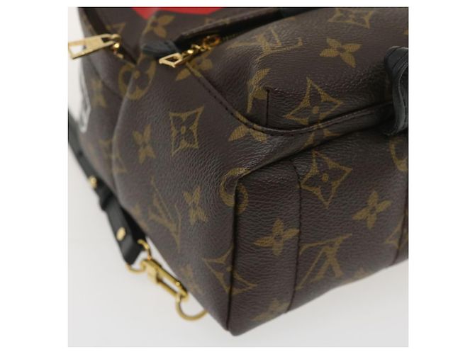 LOUIS VUITTON Borsa a spalla Palm Springs Monogram World Tour M42971 auth 29526alla - vista 15