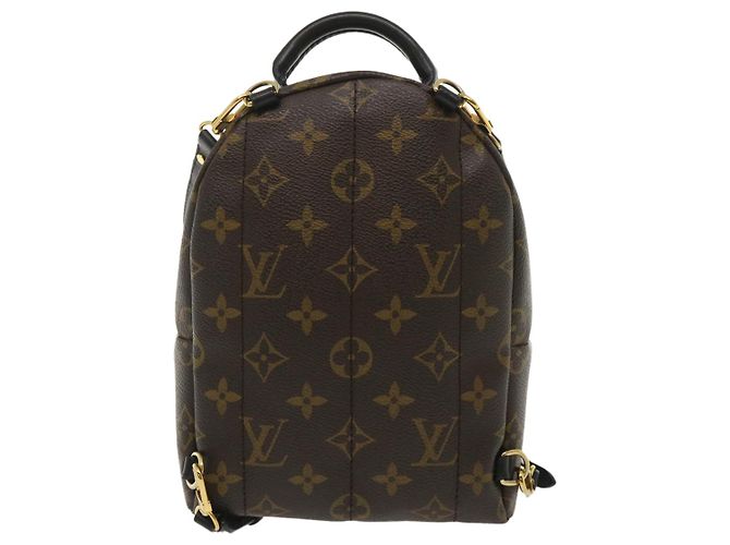 LOUIS VUITTON Borsa a spalla Palm Springs Monogram World Tour M42971 auth 29526alla - vista 2