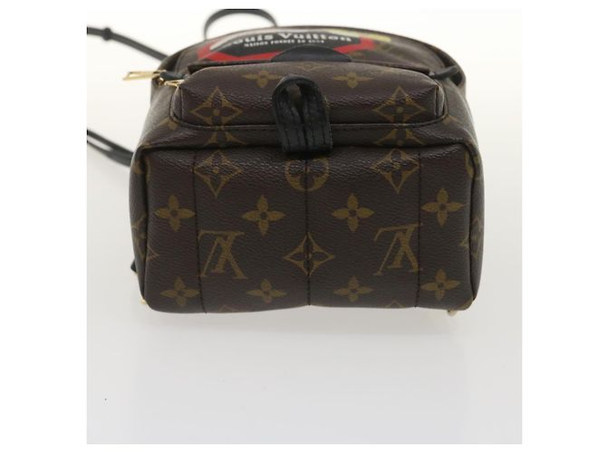 LOUIS VUITTON Borsa a spalla Palm Springs Monogram World Tour M42971 auth 29526alla - vista 5