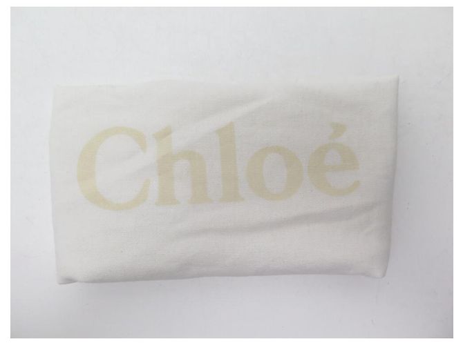Chloé BOLSA CHLOE ELSIE PYTHON COURO E LATENTES TAUPE 26BOLSA DE MÃO CM - vista 13