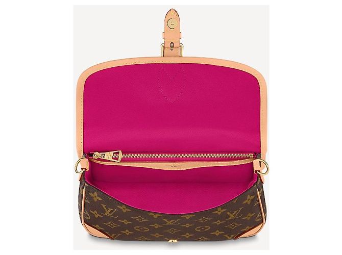 Louis Vuitton Borsa Diane Monogram Marrone Tracolla Fucsia - vista 3