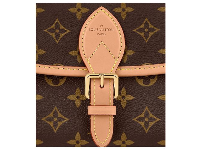 Louis Vuitton Borsa Diane Monogram Marrone Tracolla Fucsia - vista 4