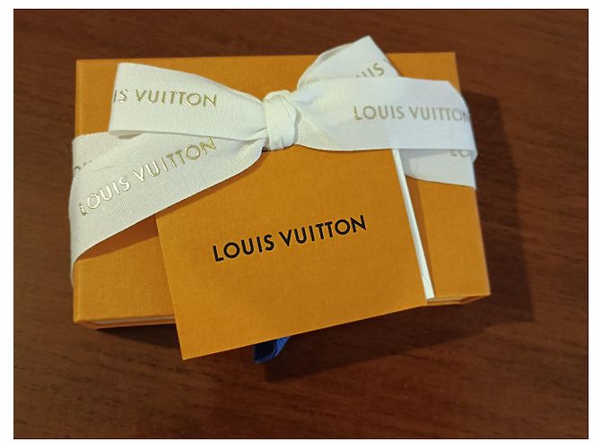 Montsouris Bracciale Louis Vuitton Alma tela Monogram Marrone - vista 12