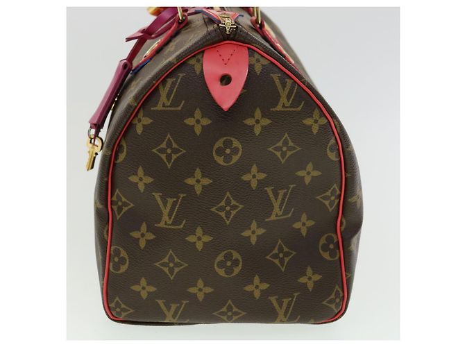 Tótem con monograma de LOUIS VUITTON Speedy 30 Bolso de mano M41666 Bases de autenticación de LV2099EN - vista 3