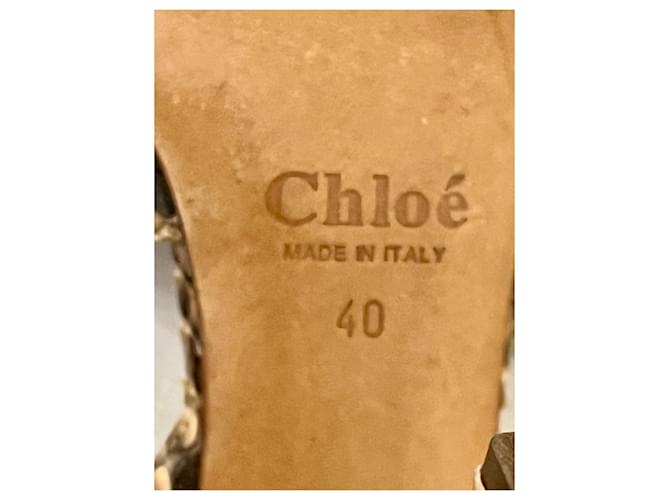 Chloé Sandali da sera Chloe in pitone Multicolore - vista 7
