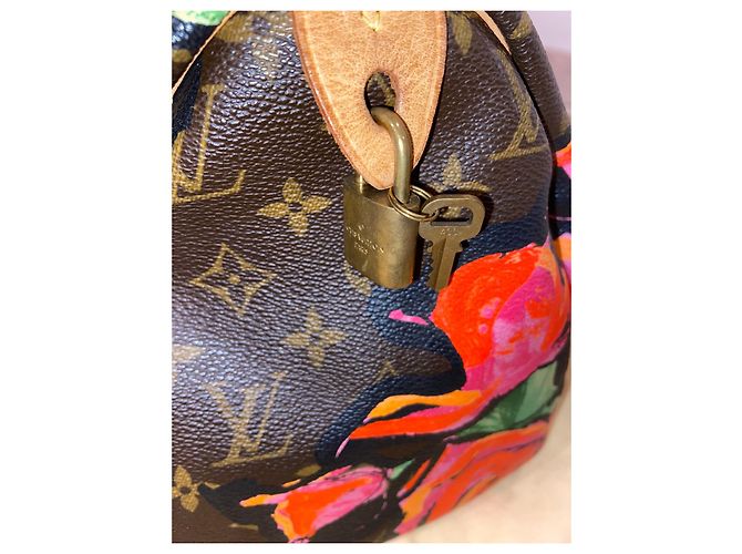 Speedy Borsa rapida Louis Vuitton Stephen Sprouse Multicolore - vista 2