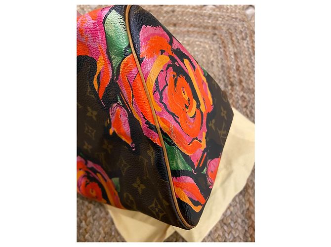 Speedy Borsa rapida Louis Vuitton Stephen Sprouse Multicolore - vista 5