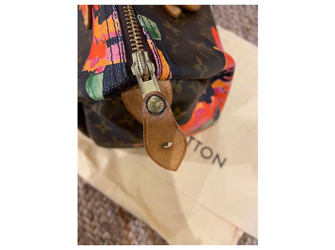 Speedy Borsa rapida Louis Vuitton Stephen Sprouse Multicolore - vista 8