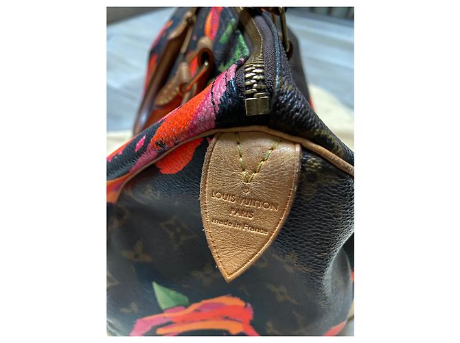 Speedy Borsa rapida Louis Vuitton Stephen Sprouse Multicolore - vista 9
