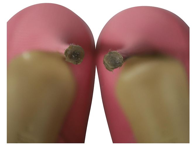 Tacco Stiletto a Punta Casadei in Pelle Rosa - vista 7