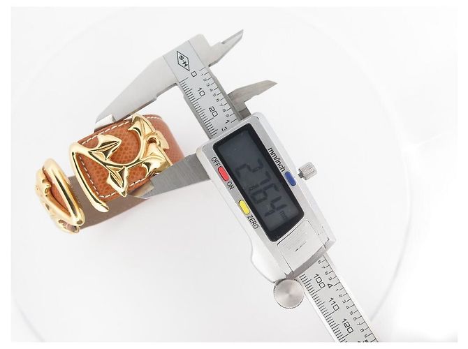 VAN DER BAUWEDE ARMBAND EFEU VERGOLDET MANSCHETTE + 2 EIDECHSEN-LEDER-BINDUNGEN Golden - Ansicht 18