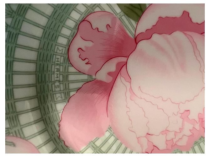 Hermès 4 Porcelain “Les Pivoines” Plates Pink Green - view 6