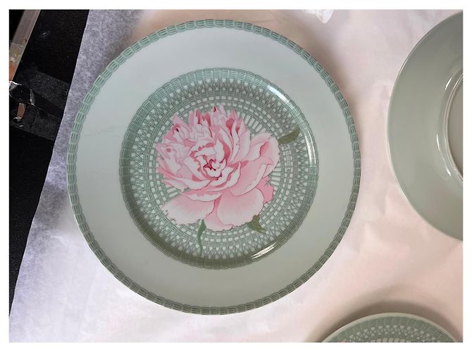 Hermès 4 Porcelain “Les Pivoines” Plates Pink Green - view 18