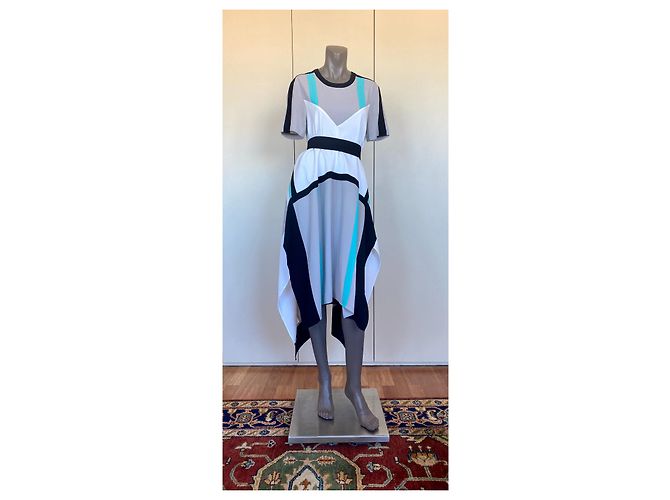 Bcbg Max Azria BCBGMaxazria Landebahn CAIT LMQ62C07 - 36 DOVE mittellanges Kleid Grau - Ansicht 4