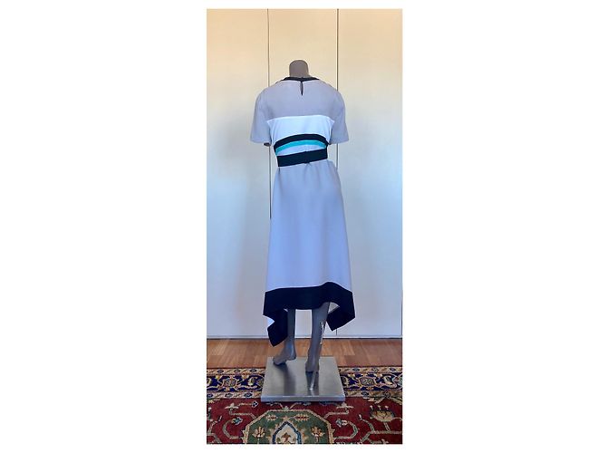 Bcbg Max Azria BCBGMaxazria Landebahn CAIT LMQ62C07 - 36 DOVE mittellanges Kleid Grau - Ansicht 5
