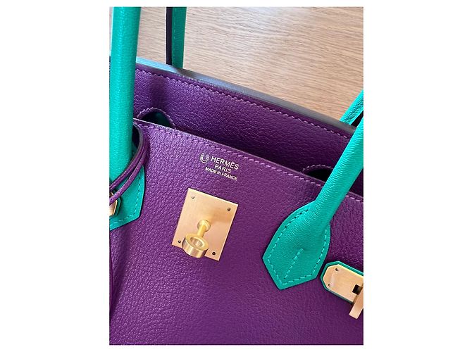 Hermès Birkin 30 Anemone Menthe Cherve Pelle Multicolore Porpora - vista 2