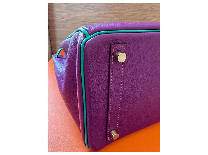 Hermès Birkin 30 Anemone Menthe Cherve Pelle Multicolore Porpora - vista 8