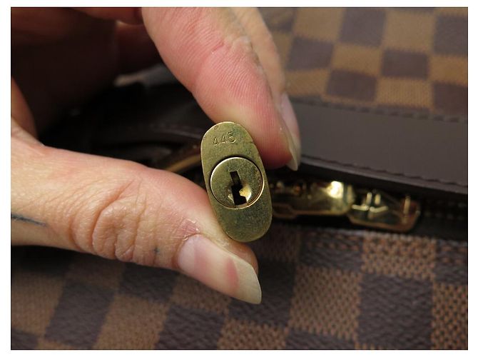 LOUIS VUITTON EOLE BORSONE DA VIAGGIO DAMIER TELA EBANO N23205 Carrello Marrone - vista 5