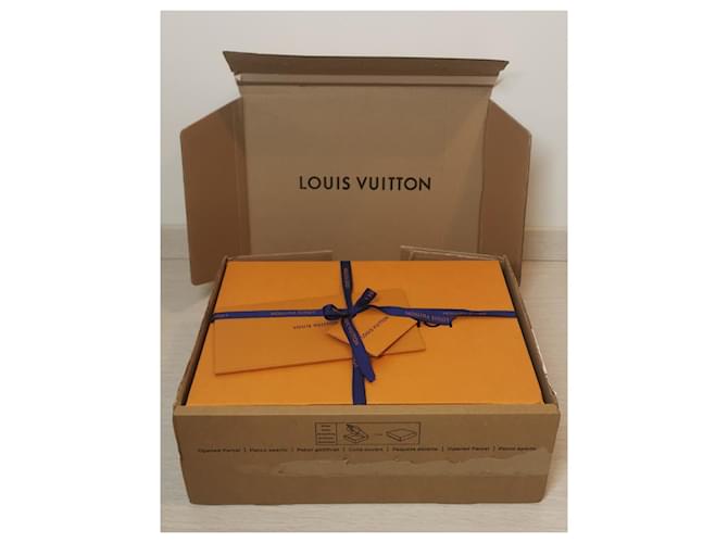 Louis Vuitton Custodia da toilette Beige - vista 13