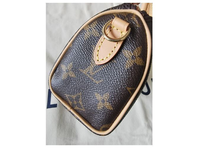 Louis Vuitton Speedy nano Multicolore - vista 5
