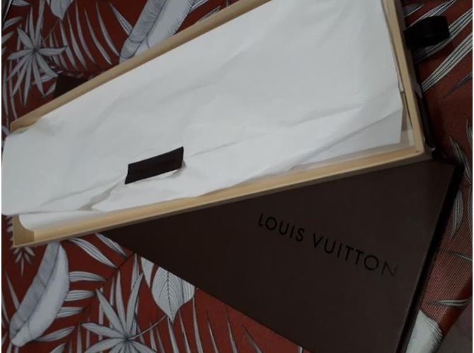 Sciarpa Louis Vuitton Catiana in seta multicolore - vista 5